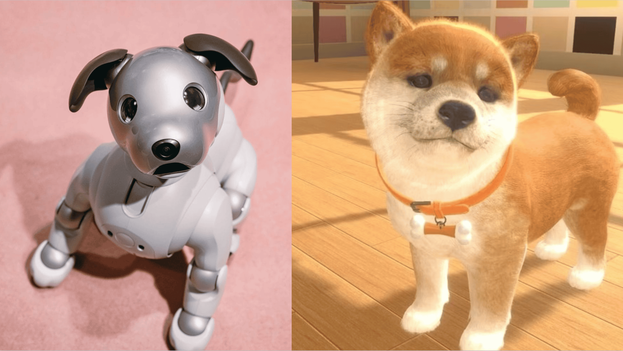 Appearance of Robot vs Virtual Pets: Key Distinctions